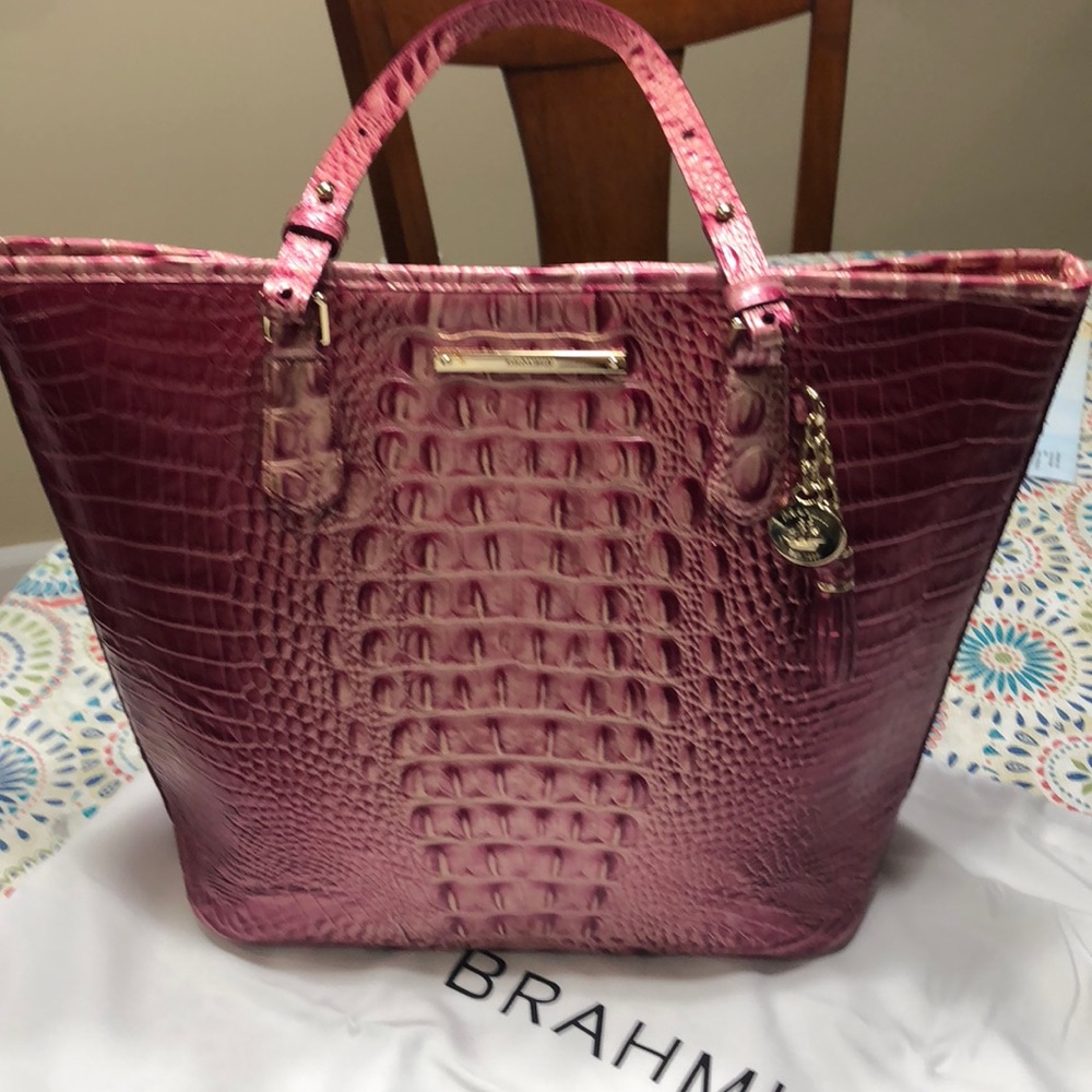Nwt  Asher Brahmin tote,perfect bag for the summer